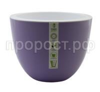 орион (8) орион (8)