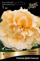 Лилейник гибридный Силоам Дабл Саксесс_черный Лилейник гибридный Силоам Дабл Саксесс_черный