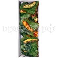 гусеница на лист