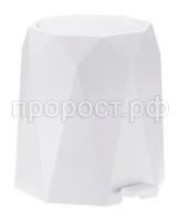 2482-main-1 2482-main-1