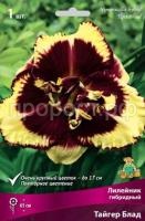 Лилейник гибридный Тайгер Блад Лилейник гибридный Тайгер Блад