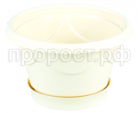 верона 1л пес