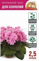 Сенполии 2,5л Сенполии 2,5л