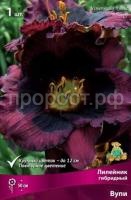 Лилейник гибридный Вупи Лилейник гибридный Вупи