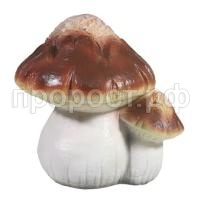 гриб ьдвойной