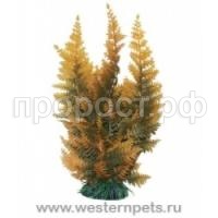 393094-350x350 393094-350x350