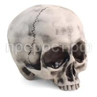 Грот капитан флинт