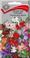 Душистый горошек Спенсер смесь окрасок Душистый горошек Спенсер смесь окрасок