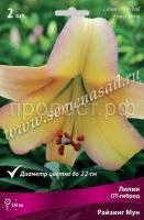 Лилия ОТ-Гибрид Райзинг Мун (14-16) 2 шт 736224