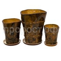 К100613_1 К100613_1