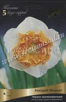 Нарцисс Амадей Моцарт