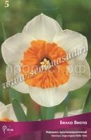 Нарцисс  Белла Виста