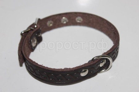 Ошейник кожа 17мм 1слойный 35-40см/40496