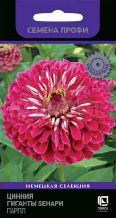 Цинния Гиганты Бенари Парпл 10шт