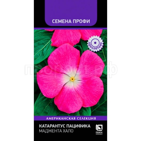 Катарантус Пацифика Маджента Хало 10шт