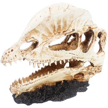 Грот Череп дилофозавра Nomoy Pet 17х7.5х14см/NMP-NS-117