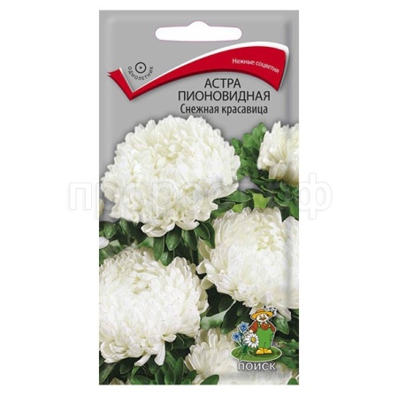 Астра пионовидная Снежная красавица 0,3г