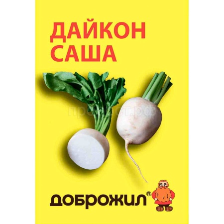 Дайкон Саша 1г