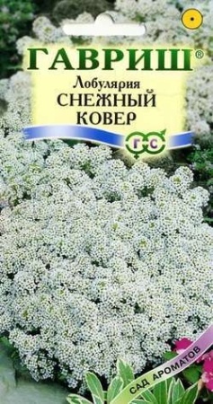 Лобулярия морская Снежный ковер 0,05г