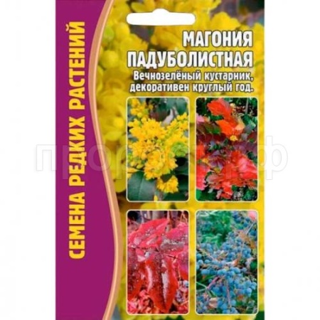 Магония Падуболистная 10 шт