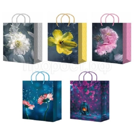 ПБР55729 Пакет подарочный 22*31 микс ламинированный /20шт/