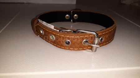 Ошейник кожа+брезент 25мм 2-х слойный Н/У 50-52см/40724