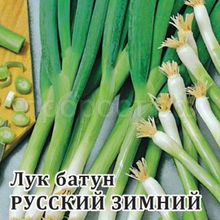 Лук Батун Русский Зимний 10 г