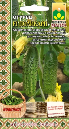 Огурец Поликарп F1 10 шт