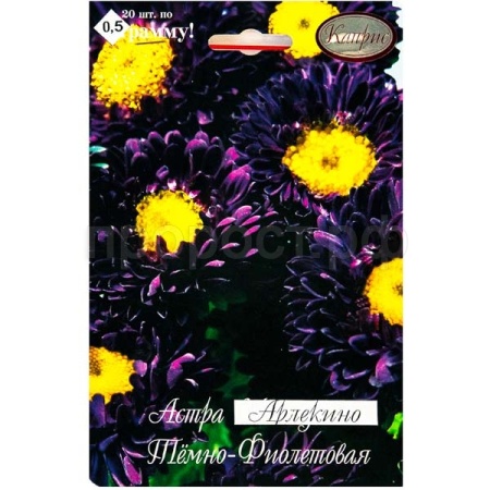 Астра Арлекино Фиолетовая 20*1