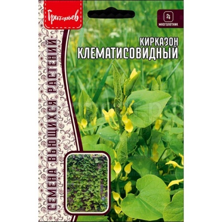 Редкие растения Кирказон Клематисовидный 3шт 