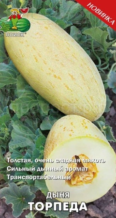 Дыня Торпеда 15шт