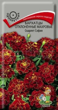 Бархатцы Скарлет София 0,4г 