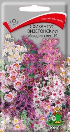 Схизантус визетонский Гибридная смесь F1 0,06г