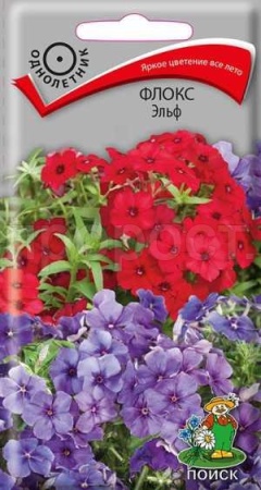 Флокс друммонда Эльф 0,1г