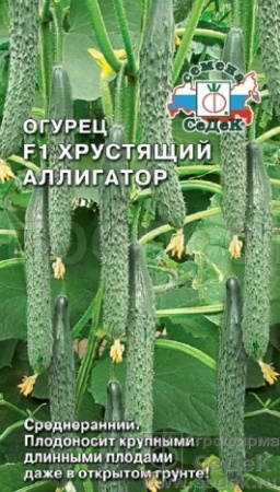 Огурец Хрустящий Аллигатор F1 0,2г