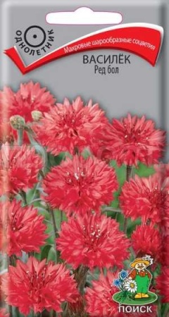 Василек Ред бол 1г