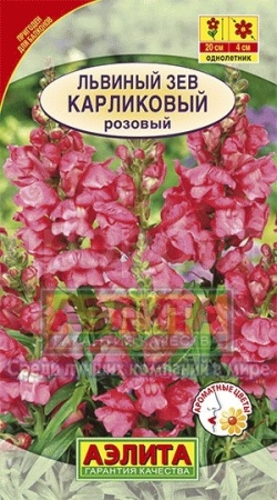 Львиный зев карликовый розовый 10шт