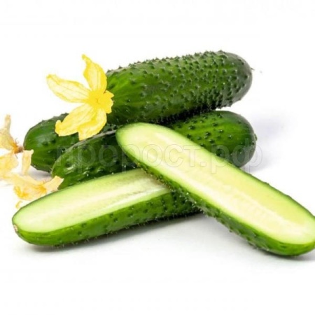 Огурец Киборг F1 20 шт